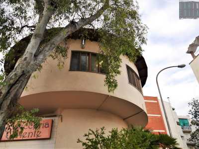 Ad essere assaltata � stata anche l�enorme pianta che adorna la caratteristica costruzione �a fungo� sede di una nota rosticceria